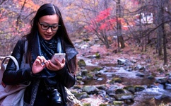 可以触碰你的深处吗开车